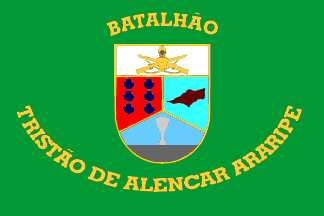 13th Armored 
Infantry Bn, Brazilian Army